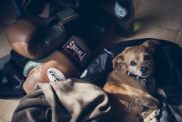 Employer Branding Unternehmensfotografie