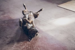 Employer Branding Unternehmensfotografie